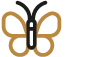 Icon-Butterfly-v2.png